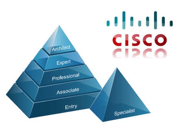 Chứng chỉ Cisco: giá trị đỉnh cao cho ứng viên IT