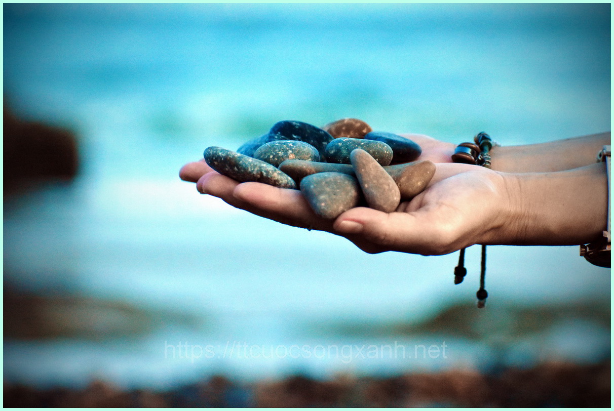 Truyền thông & Cuộc sống xanh