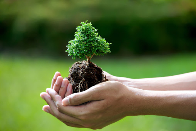 Bảo vệ môi trường là việc làm cấp thiết của chúng ta. Ảnh Internet