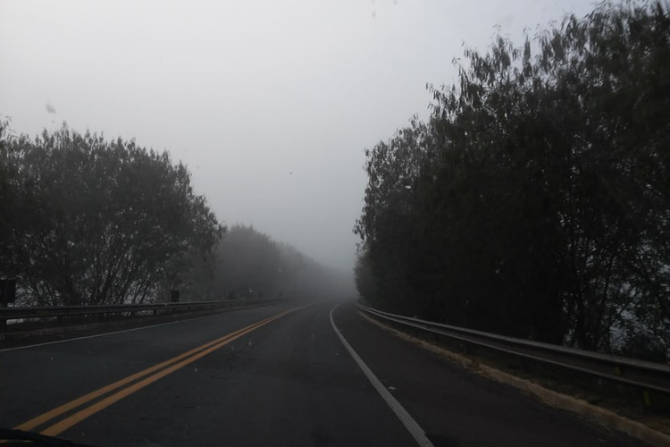 Ôn nhu trong cuộc sống hiện đại khá mờ nhạt.