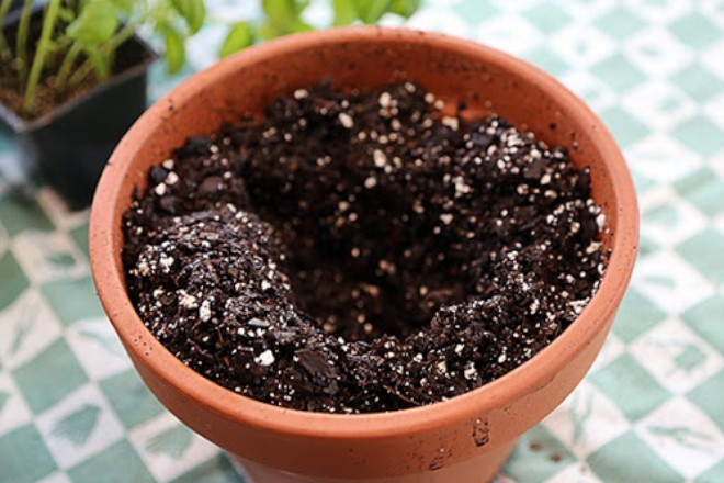 Phân bón thường được trộn sẵn vào đất trước khi trồng cây. Ảnh Internet