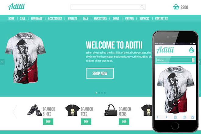 Template website Aditii. Ảnh Internet