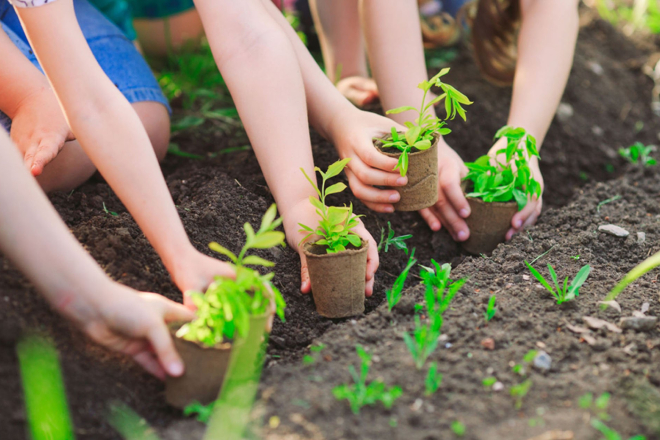 Trồng nhiều cây xanh là cách bảo vệ môi trường đơn giản nhất. Ảnh Internet